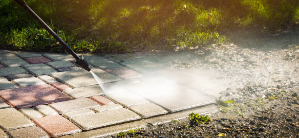 Animal Enclosure Cleaning in Palmdale, PA